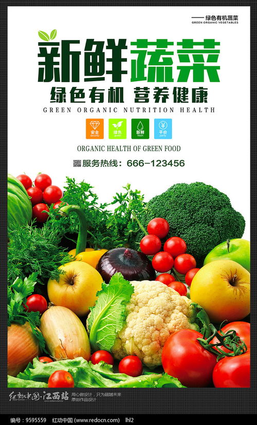 新鮮序曲——海報設計\u5206\u4eab·\u6709\u673a\u852c\u83dc\u7684\u65f6\u5149\u65b9\u7a0b\u5f0f